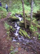 5.7.06 Wauna Point 004 